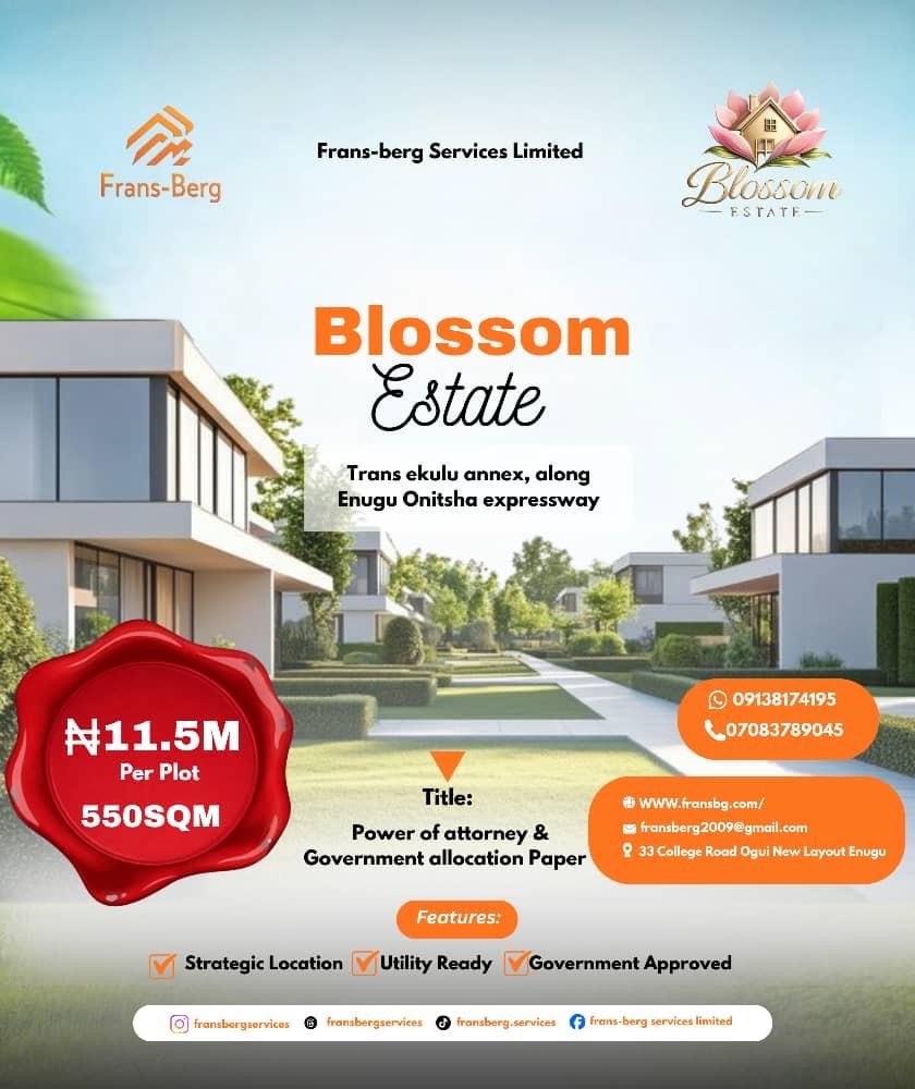 Blossom Estate promotional flyer for 550 square metre plots at Trans-Ekulu Annex